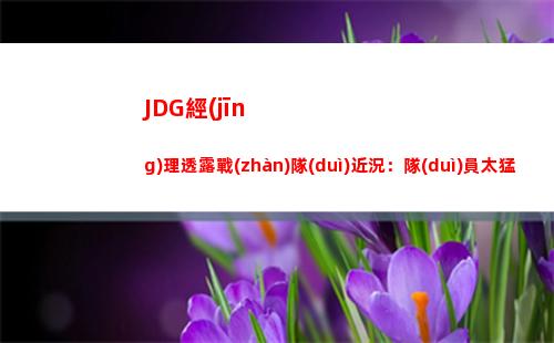 JDG經(jīng)理透露戰(zhàn)隊(duì)近況：隊(duì)員太猛都去打亞運(yùn)會(huì)了 我只能放假了！